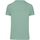 Textiel Heren T-shirts korte mouwen Ballin Est. 2013 Regular Fit Shirt Groen