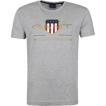 Textiel Heren T-shirts & Polo’s Gant T-shirt Logo Grijs Grijs