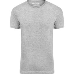 Textiel Heren T-shirts & Polo’s Garage Stretch Basic Grijs O-Hals Grijs