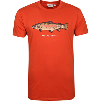 Textiel Heren T-shirts & Polo’s Shiwi T-Shirt Print Oranje Oranje