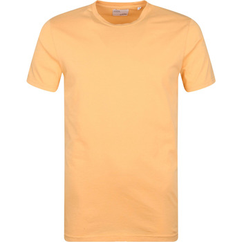 Textiel Heren T-shirts & Polo’s Colorful Standard Organisch T-shirt Licht Oranje Oranje