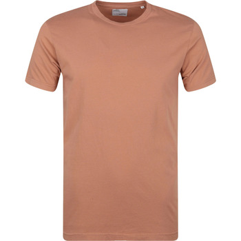 Textiel Heren T-shirts & Polo’s Colorful Standard Organisch T-shirt Bruin Bruin