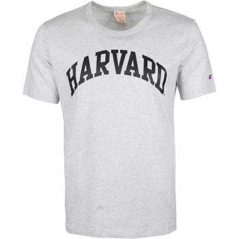 Textiel Heren T-shirts & Polo’s Champion T-Shirt Grijs Harvard Grijs