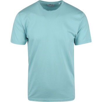 Textiel Heren T-shirts & Polo’s Colorful Standard Organisch T-shirt Blauw Blauw