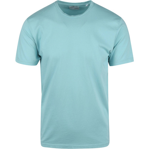 Textiel Heren T-shirts & Polo’s Colorful Standard Organisch T-shirt Blauw Blauw