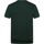 Textiel Heren T-shirts & Polo’s Lyle And Scott T-shirt Donkergroen Groen