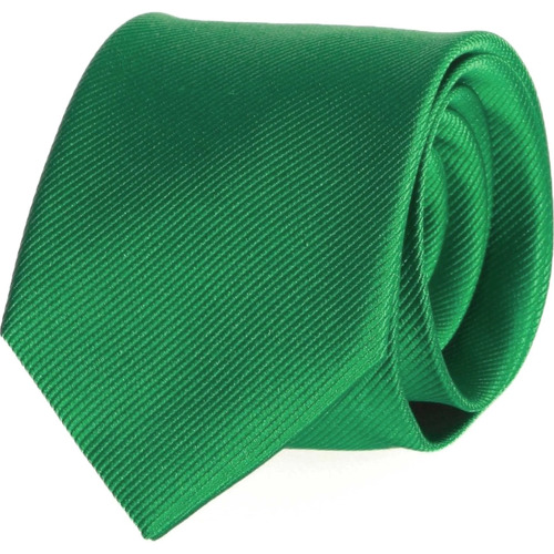 Textiel Heren Stropdassen en accessoires Suitable Stropdas Zijde Smaragd Groen Uni F68 Groen