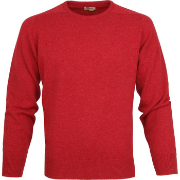 Textiel Heren Sweaters / Sweatshirts William Lockie Pullover Lamswol O Poppy Mellange Rood