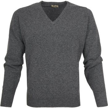 Textiel Heren Sweaters / Sweatshirts William Lockie Pullover Lamswol V Grijs Grijs