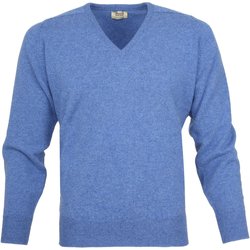 Textiel Heren Sweaters / Sweatshirts William Lockie Pullover Lamswol V Clyde Blue Blauw