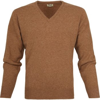 Textiel Heren Sweaters / Sweatshirts William Lockie Pullover Lamswol V Savannah Bruin
