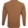 Textiel Heren Sweaters / Sweatshirts William Lockie Pullover Lamswol V Savannah Bruin