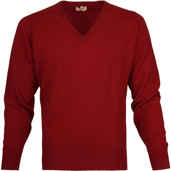 Textiel Heren Sweaters / Sweatshirts William Lockie Pullover Lamswol V Poppy Rood
