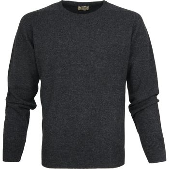 Textiel Heren Sweaters / Sweatshirts William Lockie Trui Lamswol Charcoal Antraciet Grijs