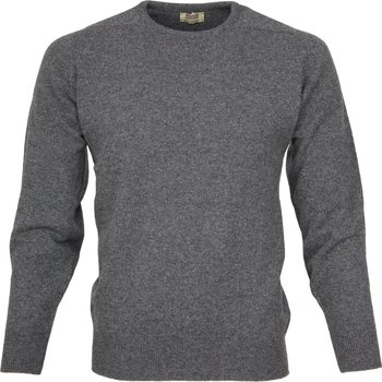 Textiel Heren Sweaters / Sweatshirts William Lockie O Lamswol Grijs Grijs