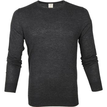 Textiel Heren Sweaters / Sweatshirts Olymp Trui Lvl 5 Antraciet Grijs
