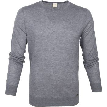 Textiel Heren Sweaters / Sweatshirts Olymp Trui Lvl 5 Grijs Grijs