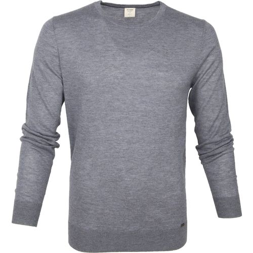 Textiel Heren Sweaters / Sweatshirts Olymp Trui Lvl 5 Grijs Grijs