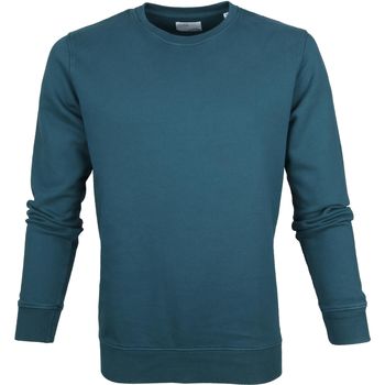 Textiel Heren Sweaters / Sweatshirts Colorful Standard Sweater Ocean Groen Groen