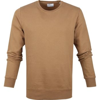 Textiel Heren Sweaters / Sweatshirts Colorful Standard Sweater Organic Camel Kaki