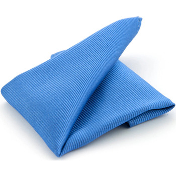 Textiel Heren Stropdassen en accessoires Suitable Pochet Zijde Midden Blauw F05 Blauw