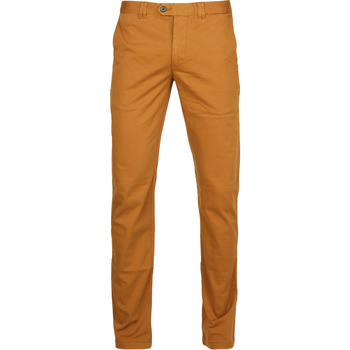 Textiel Heren Broeken / Pantalons Suitable Dante Chino Cognac Bruin