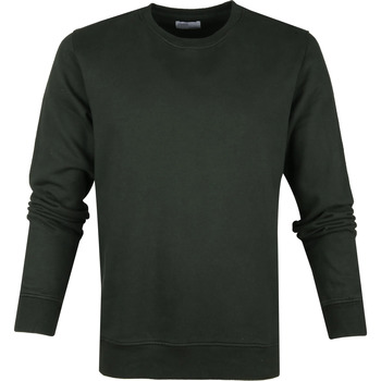 Textiel Heren Sweaters / Sweatshirts Colorful Standard Sweater Organic Donkergroen Groen