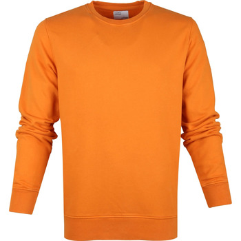 Textiel Heren Sweaters / Sweatshirts Colorful Standard Sweater Organic Oranje Oranje