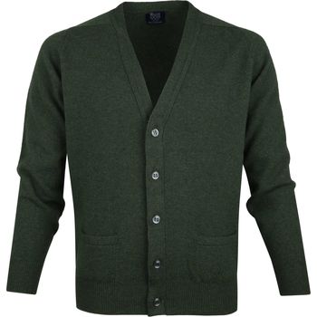 Textiel Heren Sweaters / Sweatshirts William Lockie Lamswol Vest Donkergroen Groen