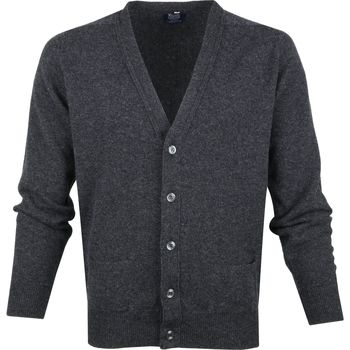 Textiel Heren Sweaters / Sweatshirts William Lockie Lamswol Vest Antraciet Grijs