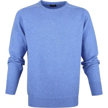 Textiel Heren Sweaters / Sweatshirts William Lockie Lamswol Blauw Blauw