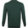Textiel Heren Sweaters / Sweatshirts Lyle And Scott Lyle & Scott Trui Donker Groen Groen