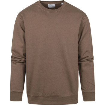 Textiel Heren Sweaters / Sweatshirts Colorful Standard Sweater Bruin Bruin