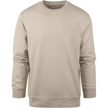 Textiel Heren Sweaters / Sweatshirts Colorful Standard Sweater Oyster Grey Grijs