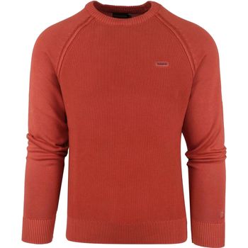 Textiel Heren Sweaters / Sweatshirts Napapijri Sweater Rood Rood