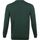 Textiel Heren Sweaters / Sweatshirts Lyle And Scott Lyle & Scott Trui Donkergroen Groen