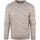 Textiel Heren Sweaters / Sweatshirts State Of Art Trui Print Groen Kaki