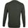 Textiel Heren Sweaters / Sweatshirts Knowledge Cotton Apparel Field Trui Donkergroen Groen