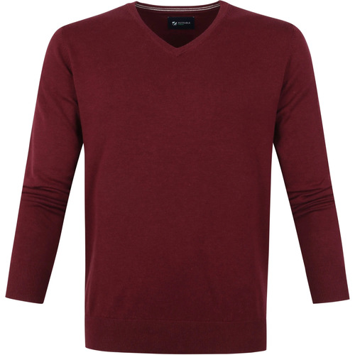 Textiel Heren Sweaters / Sweatshirts Suitable Respect Vini Pullover V-Hals Bordeaux Bordeau