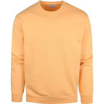 Textiel Heren Sweaters / Sweatshirts Colorful Standard Sweater Organic Licht Oranje Oranje