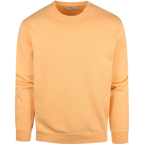 Textiel Heren Sweaters / Sweatshirts Colorful Standard Sweater Organic Licht Oranje Oranje