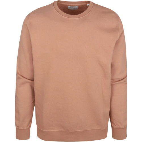 Textiel Heren Sweaters / Sweatshirts Colorful Standard Sweater Organic Bruin Bruin