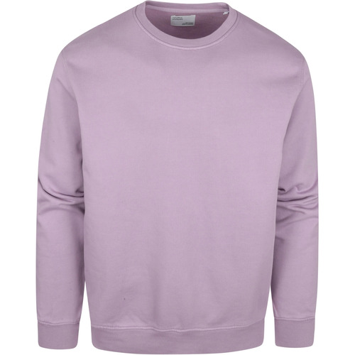 Textiel Heren Sweaters / Sweatshirts Colorful Standard Sweater Organic Paars Bordeau