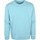 Textiel Heren Sweaters / Sweatshirts Colorful Standard Sweater Organic Mid Blauw Blauw