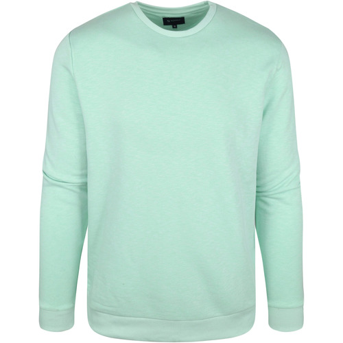 Textiel Heren Sweaters / Sweatshirts Suitable Sweater Jerry Groen Groen