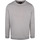 Textiel Heren Sweaters / Sweatshirts Suitable Sweater Jerry Grijs Grijs