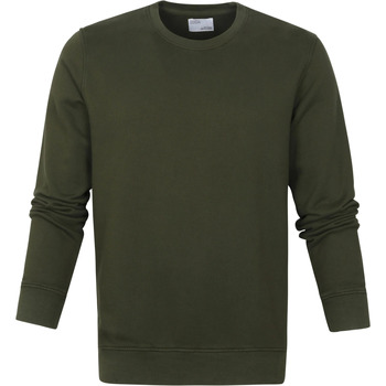 Textiel Heren Sweaters / Sweatshirts Colorful Standard Sweater Zeewier Groen Groen