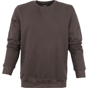 Textiel Heren Sweaters / Sweatshirts Ecoalf San Diego Sweater Bruin Bruin
