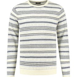 Textiel Heren Sweaters / Sweatshirts Dstrezzed Trui Strepen Blauw Blauw