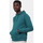 Textiel Heren Sweaters / Sweatshirts Colorful Standard Organic Hoodie Petrol Groen